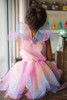 Rainbow Fairy Dress & Wings 2