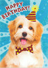 Birthday Dog  Glitter Card 1