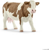 Simmental Cow 1