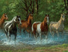 Summer Creek 500pc Puzzle