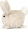 Caboodle Bunny 2