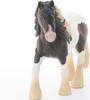 Tinker Stallion 2