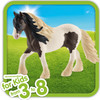 Tinker Stallion 3