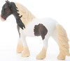 Tinker Stallion 4