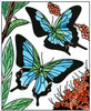 Magic Painting Book, Butterflies 3