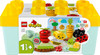 LEGO DUPLO® My First Organic Garden Bricks Box 1