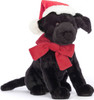 Winter Warmer Pippa Black Labrador 1