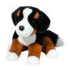 Bowie Bernese Mountian Dog Soft