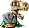 LEGO® Jurassic World™ Dinosaur Fossils: T. rex Skull 2