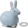 Pull And Hop Bunny 1