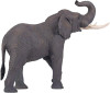 The African Elephant