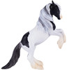 Gypsy Vanner Stallion Horse