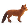 Red Fox