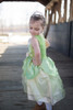 Frog Princess Dress (size 5-6) 4