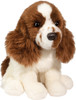 Chip Springer Spaniel 1