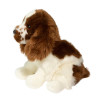 Chip Springer Spaniel