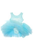 Elsa Ballet Tutu Dress, Lt Blue, Size 3-4