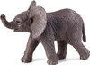 African Elephant Calf 1