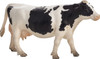Holstein Cow 1