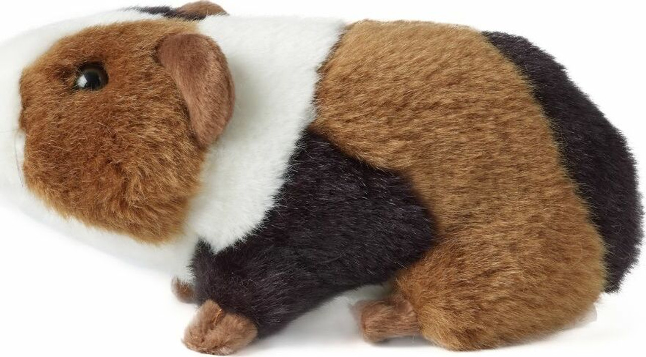 Guinea Pig Small 4