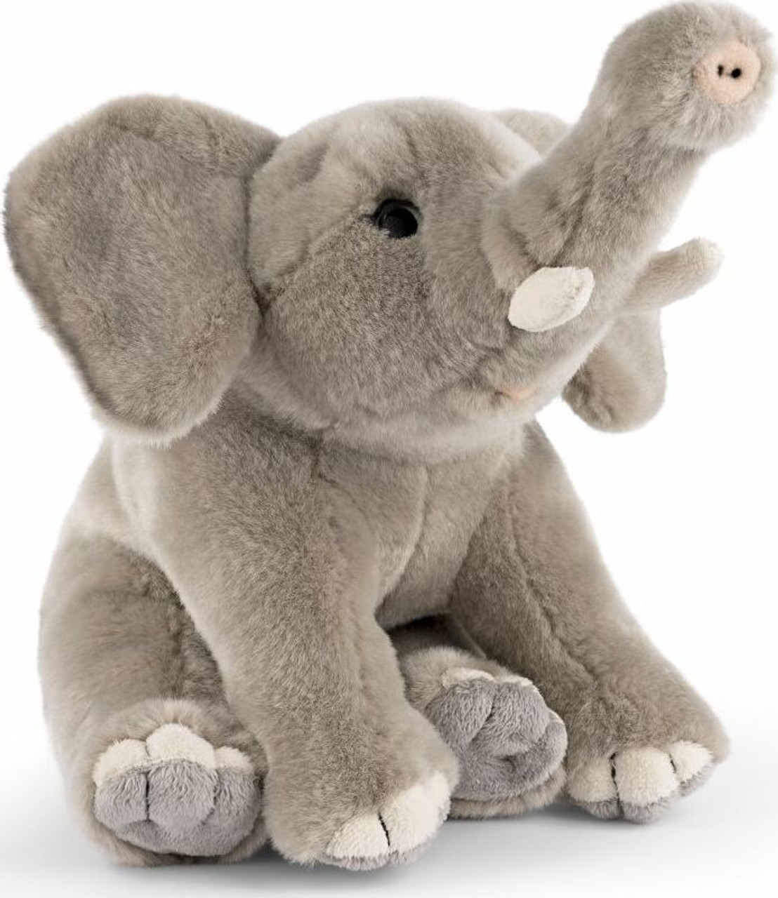 ELEPHANT 2冊 51KCEBsh1FL._UF894,1000_QL80_.jpg