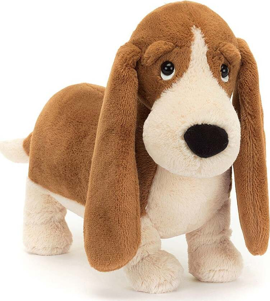 Randall Basset Hound 1