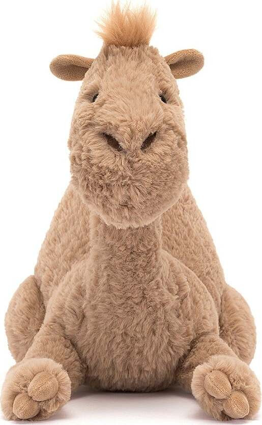 Richie Dromedary 4