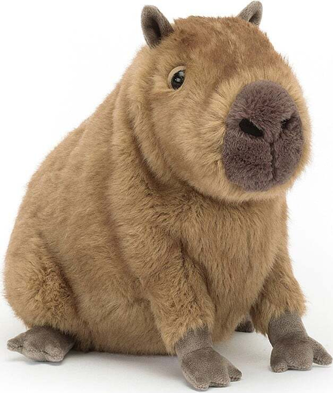 Clyde Capybara 1