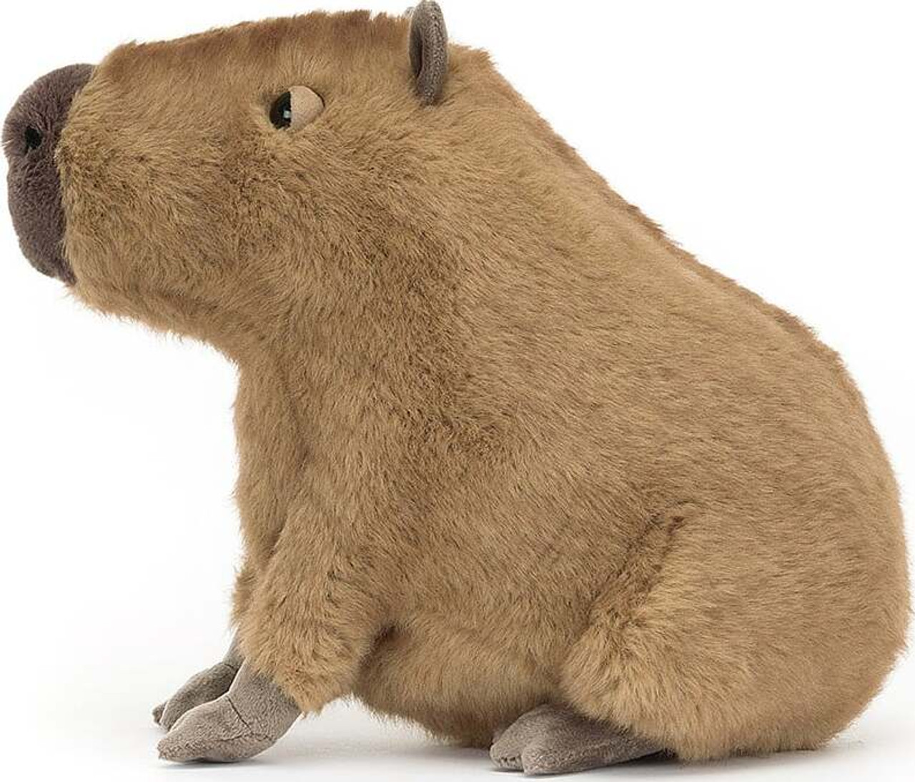 Clyde Capybara 2