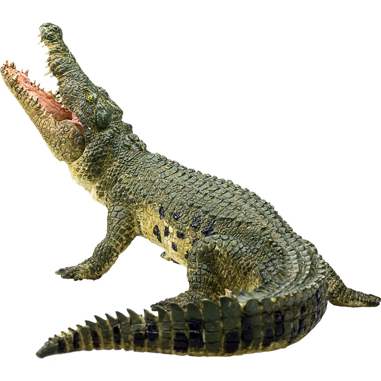 Crocodile With Moving Jaw