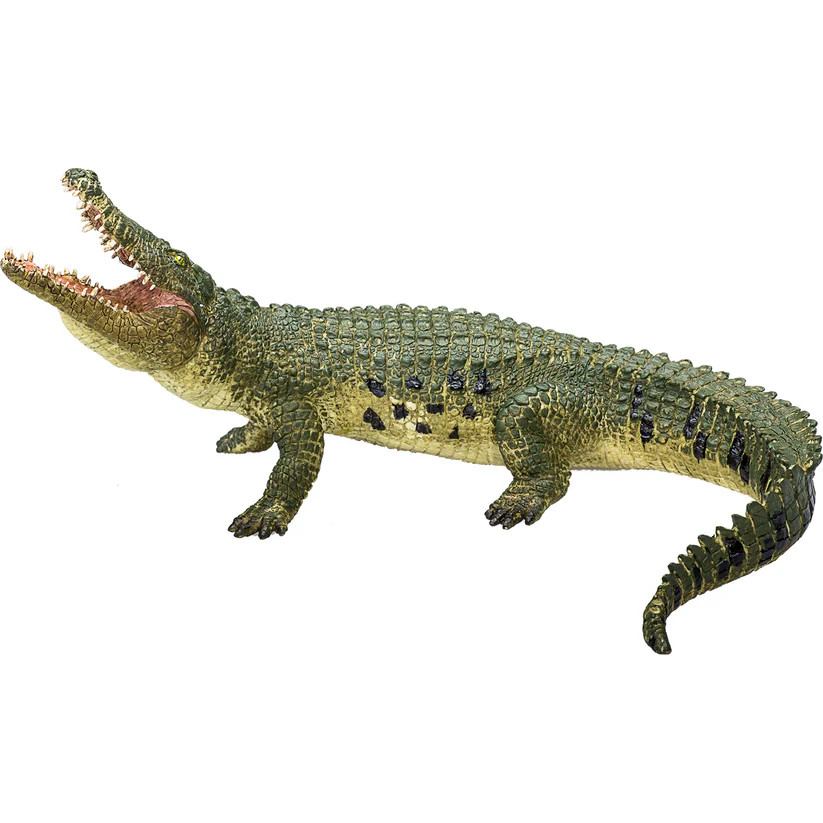 Crocodile With Moving Jaw