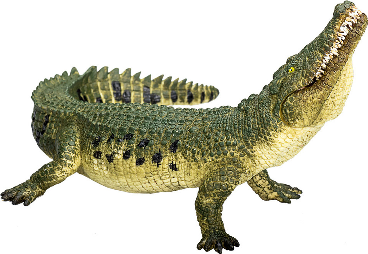 Crocodile with Articulated Jaw 1