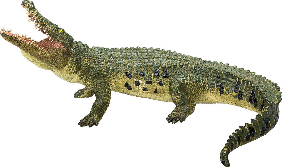 Crocodile with Articulated Jaw 3