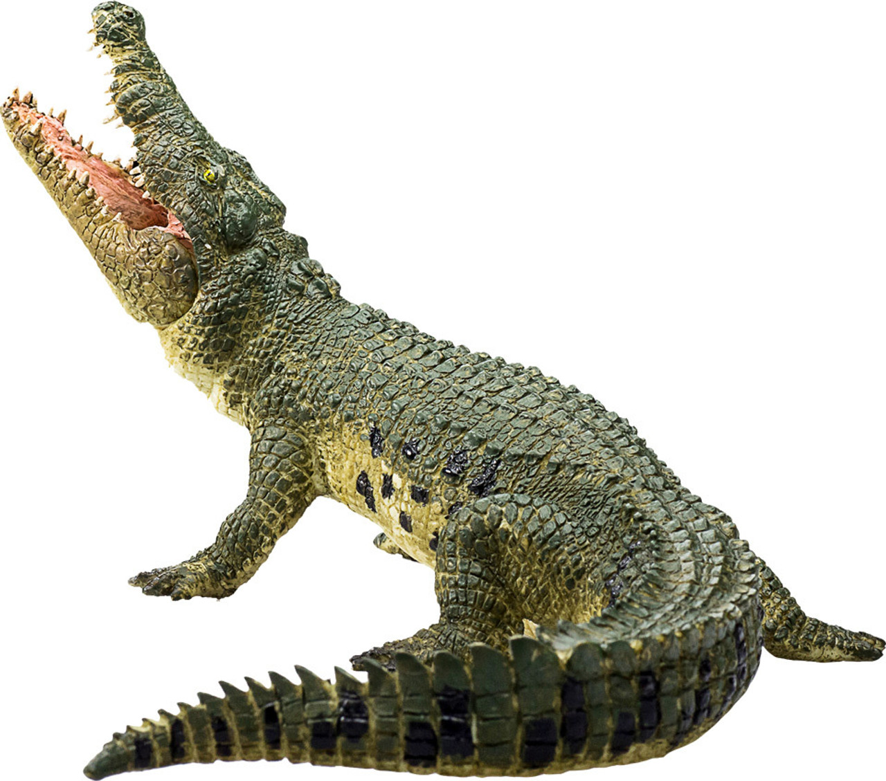 Crocodile with Articulated Jaw 5
