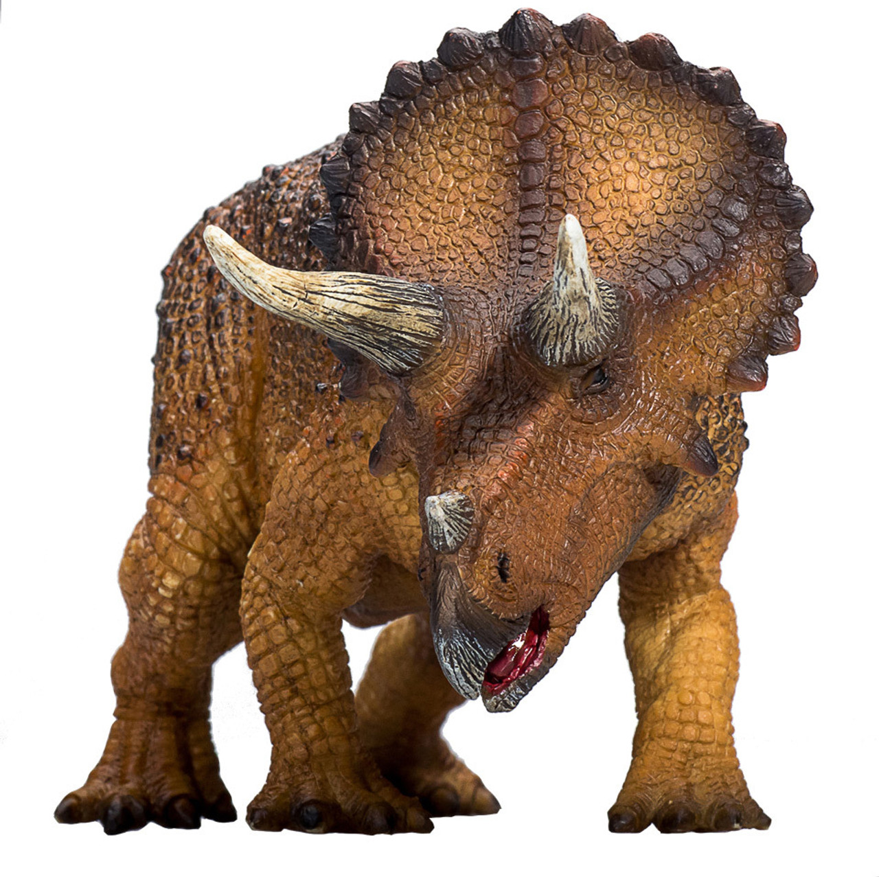 Triceratops 1