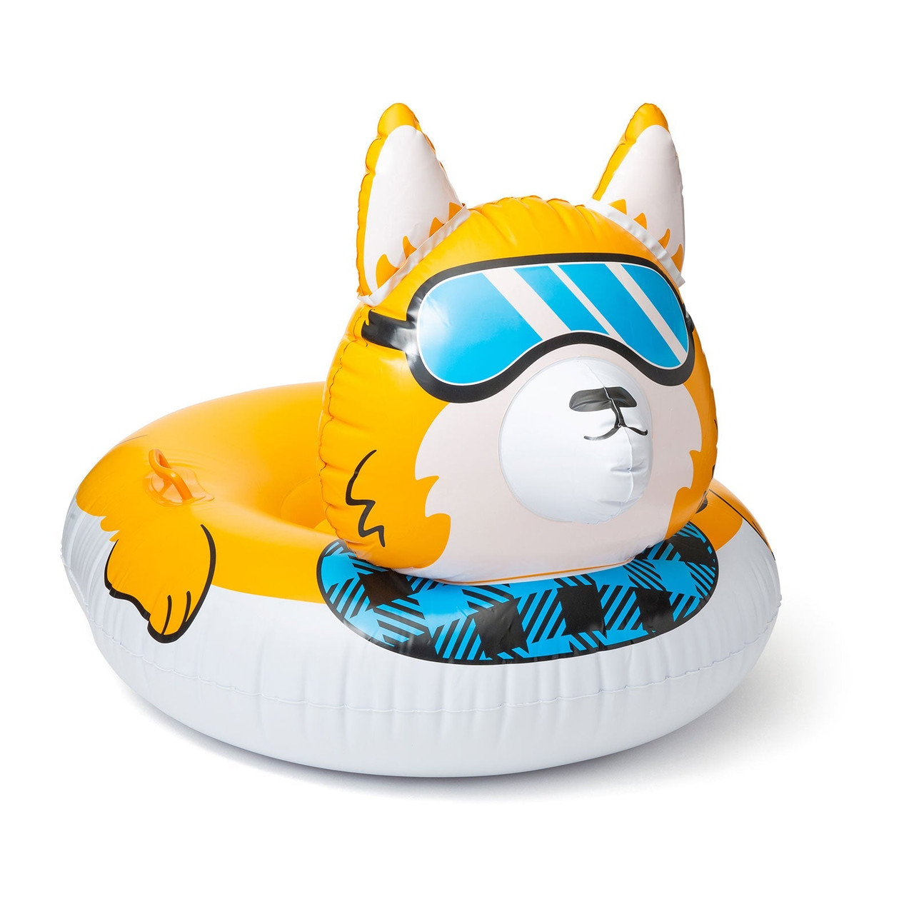 corgi snow and pool tube