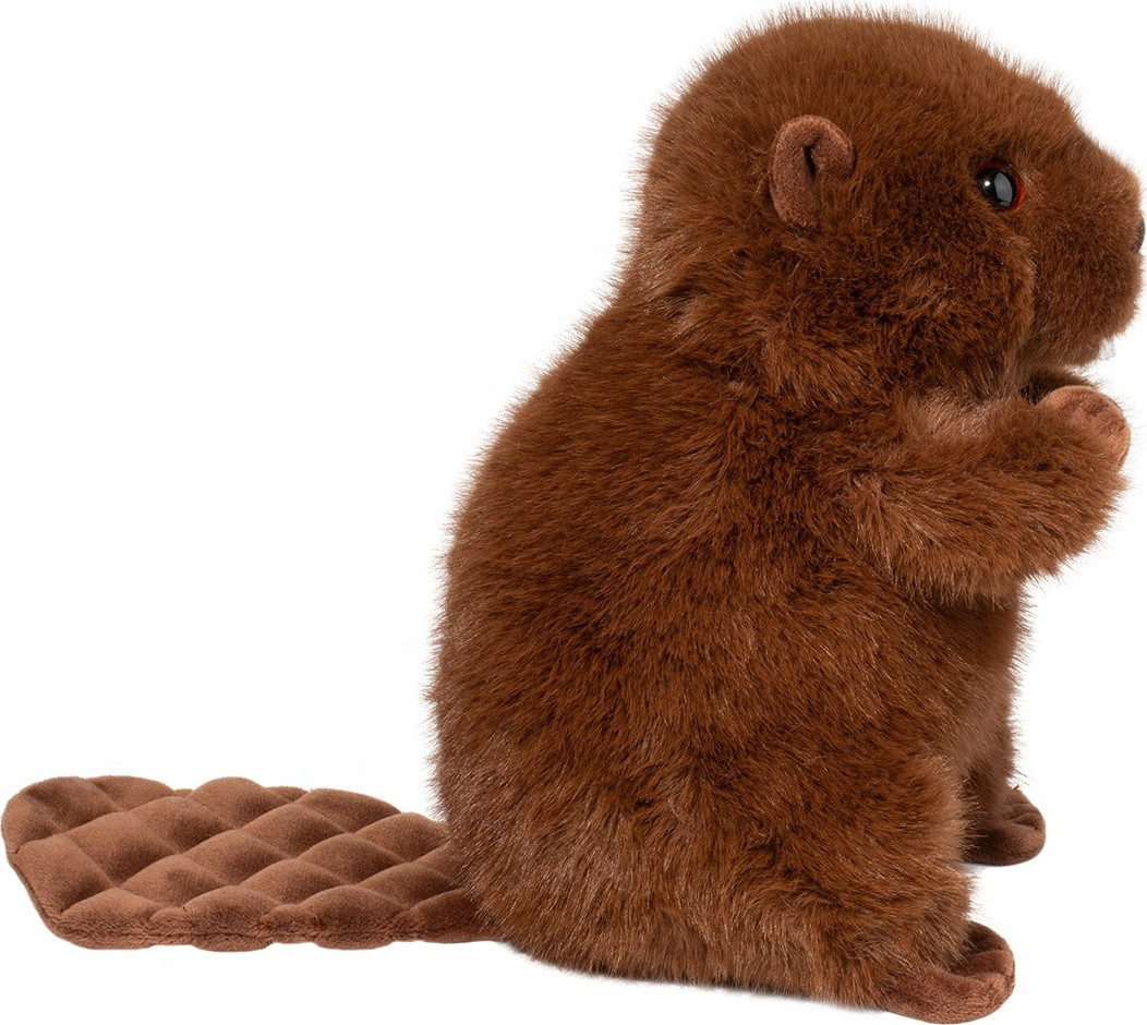 Bev Beaver 4