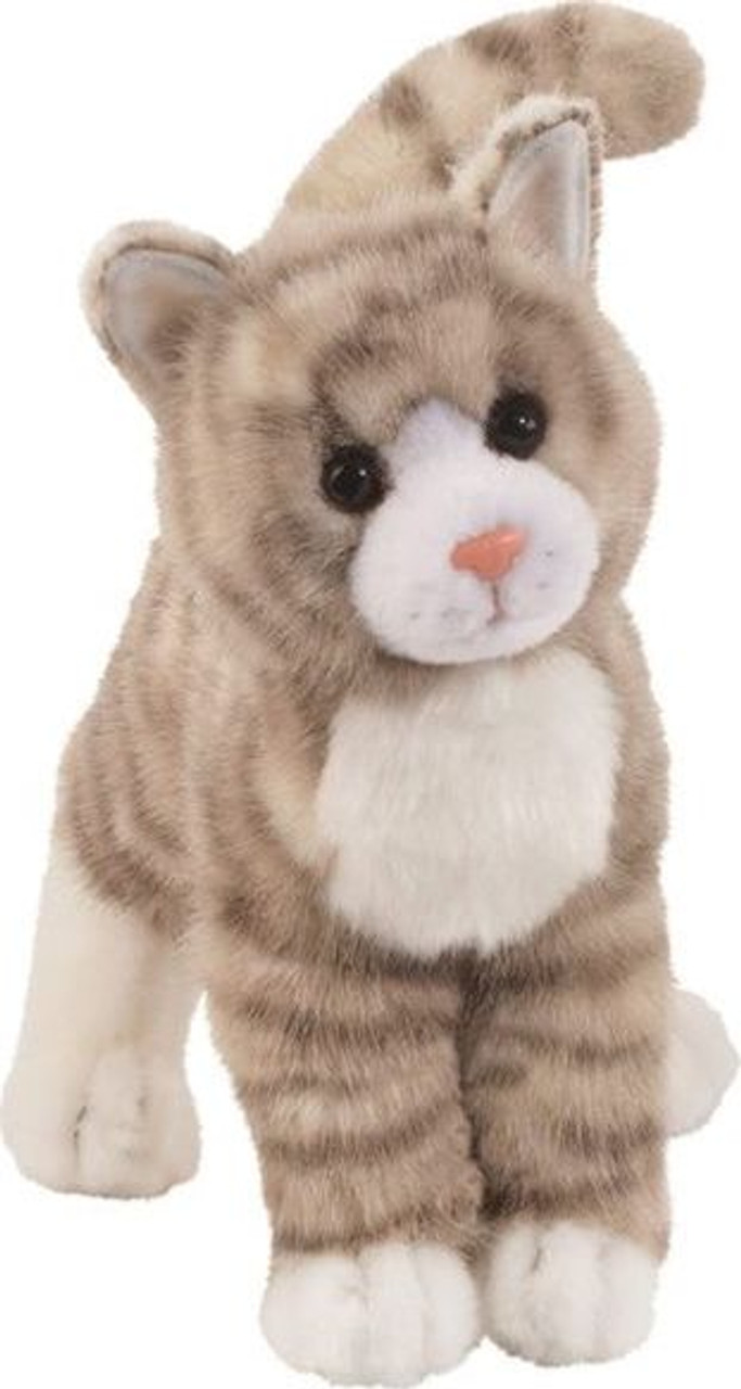 Zipper Gray Tabby Cat