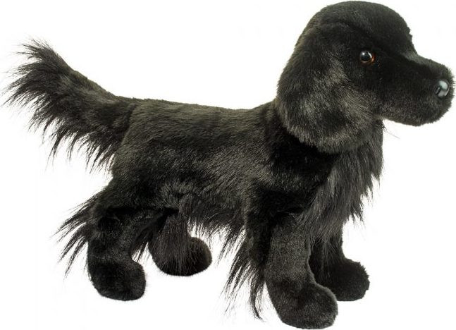 Jett Flat Coated Retriever* 2