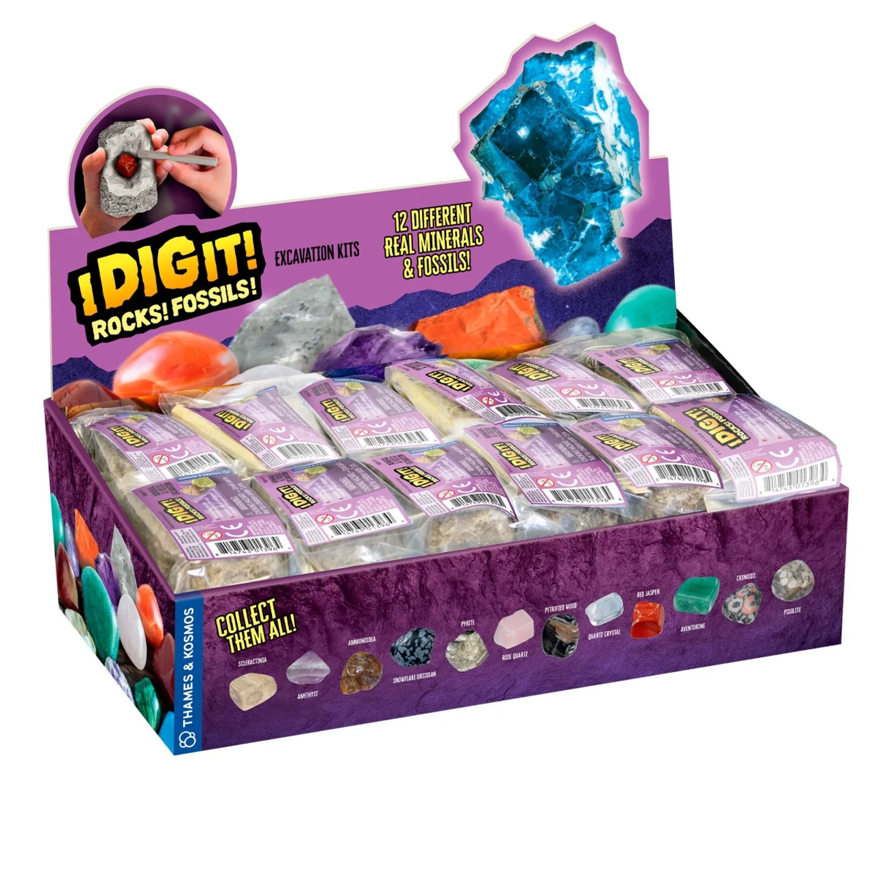 I Dig It! Dinos  Dino Egg