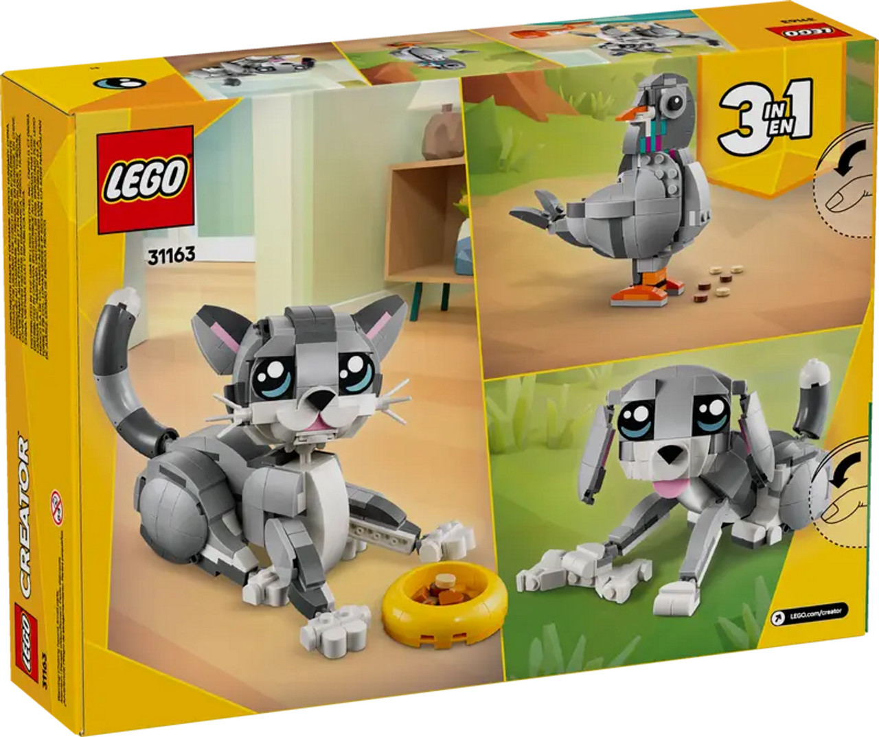 Playful Cat