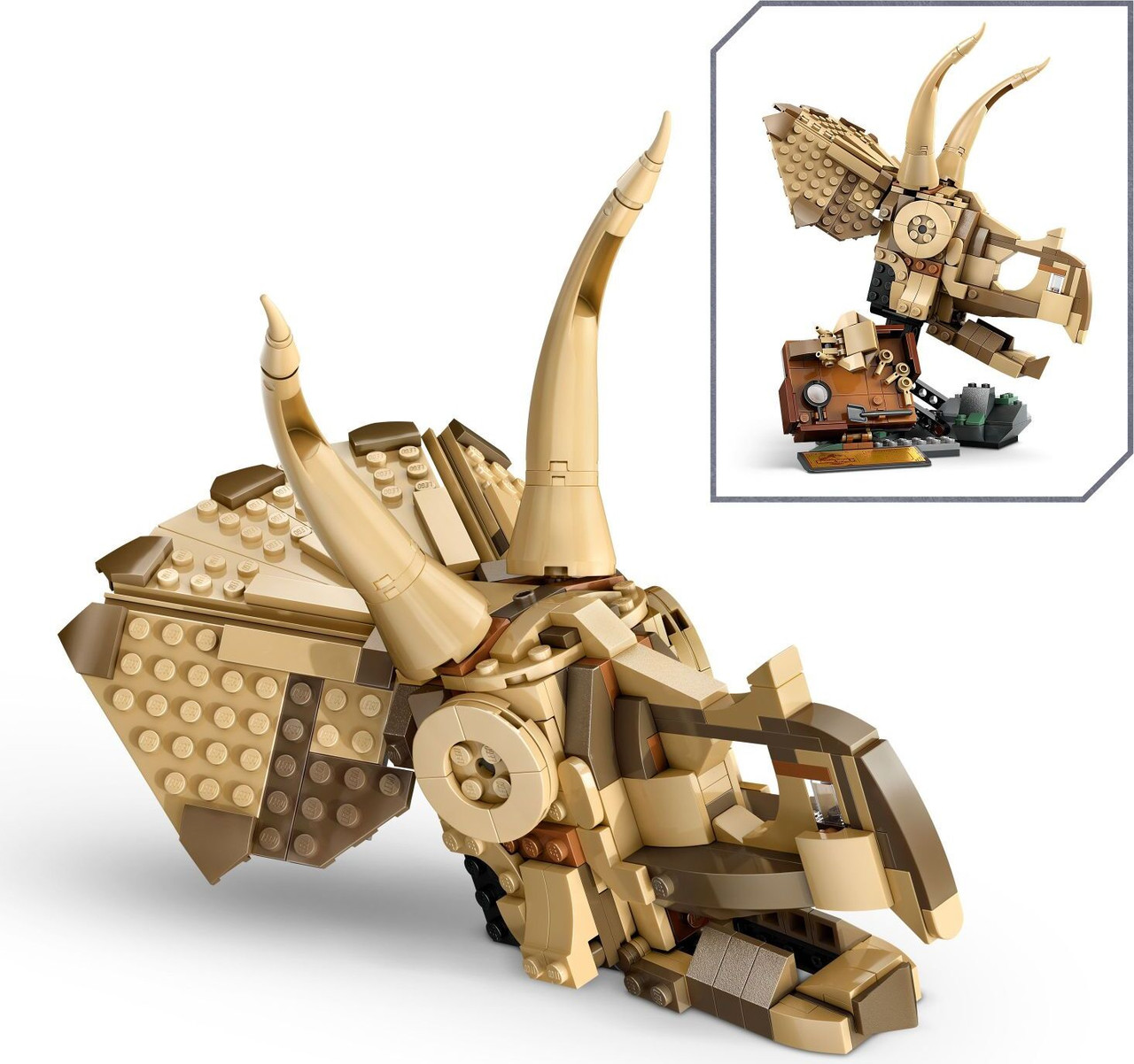 LEGO Jurassic World: Dinosaur Fossils: Triceratops Skull 5