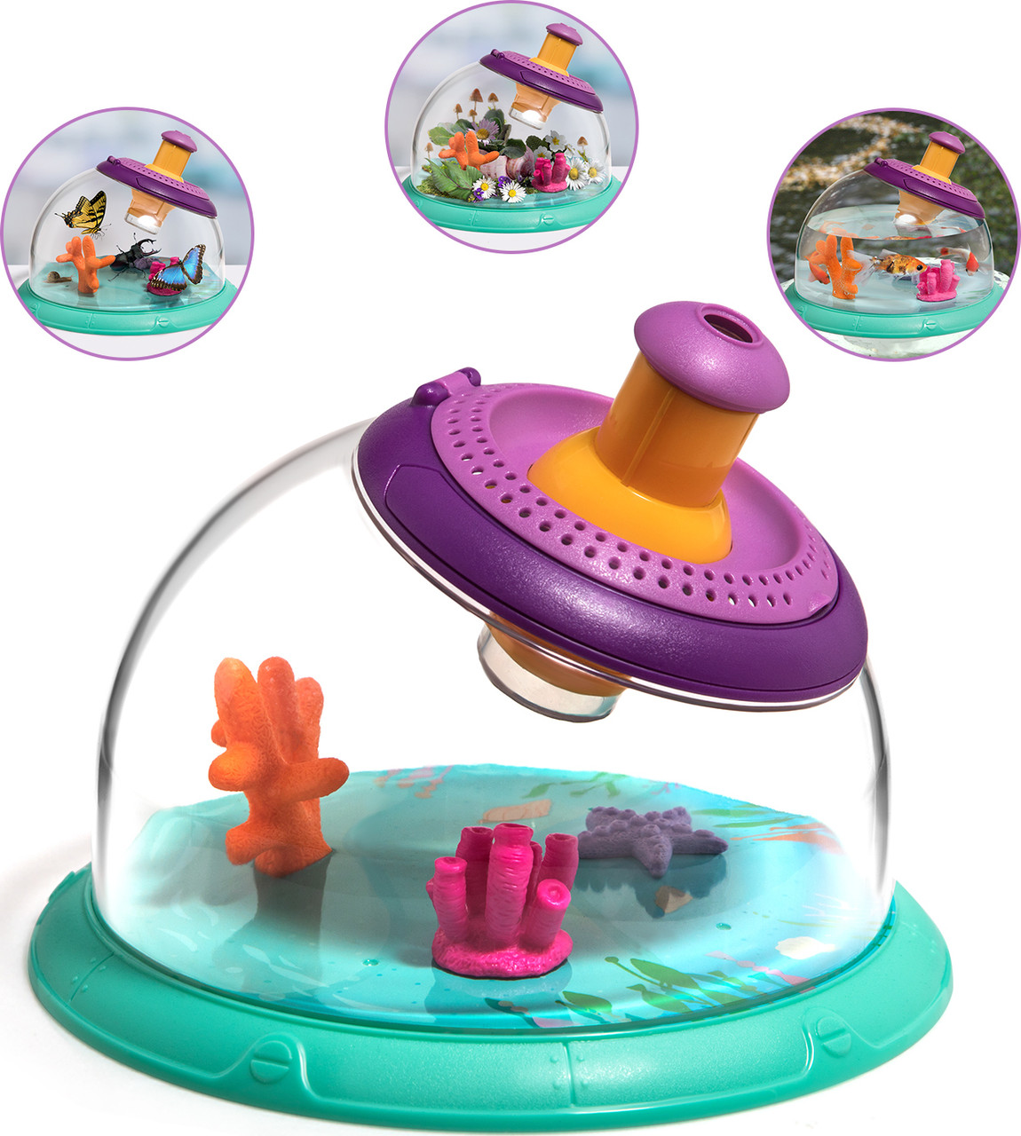 Insect & Aqua Viewer 4