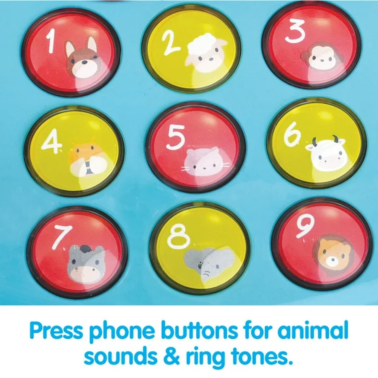Animal Activity Phone