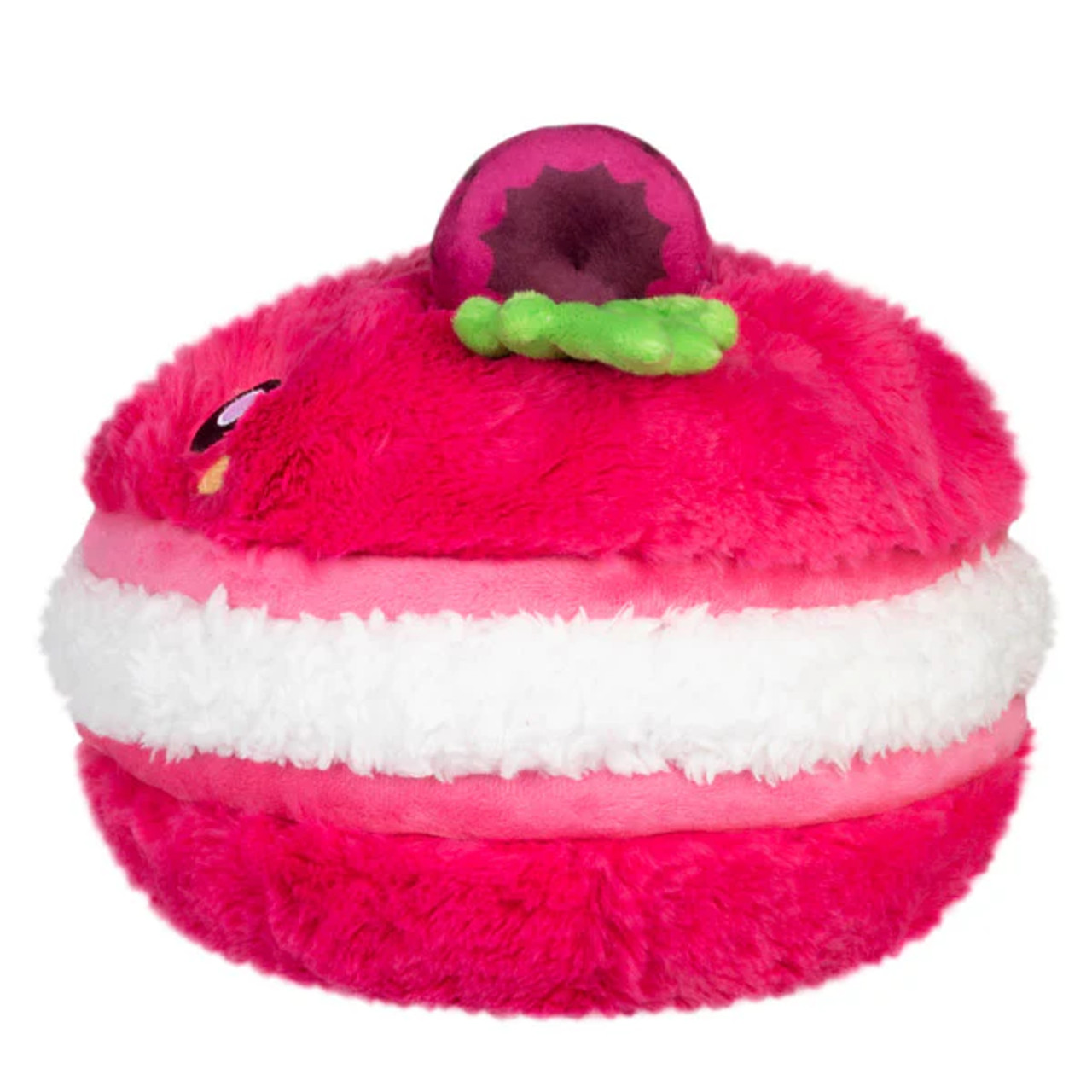 Mini Raspberry Macaron
