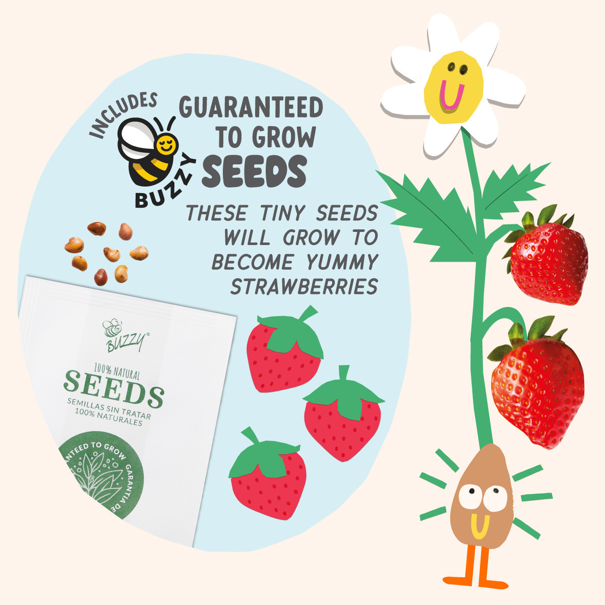 Paint and Grow- Strawberry 3