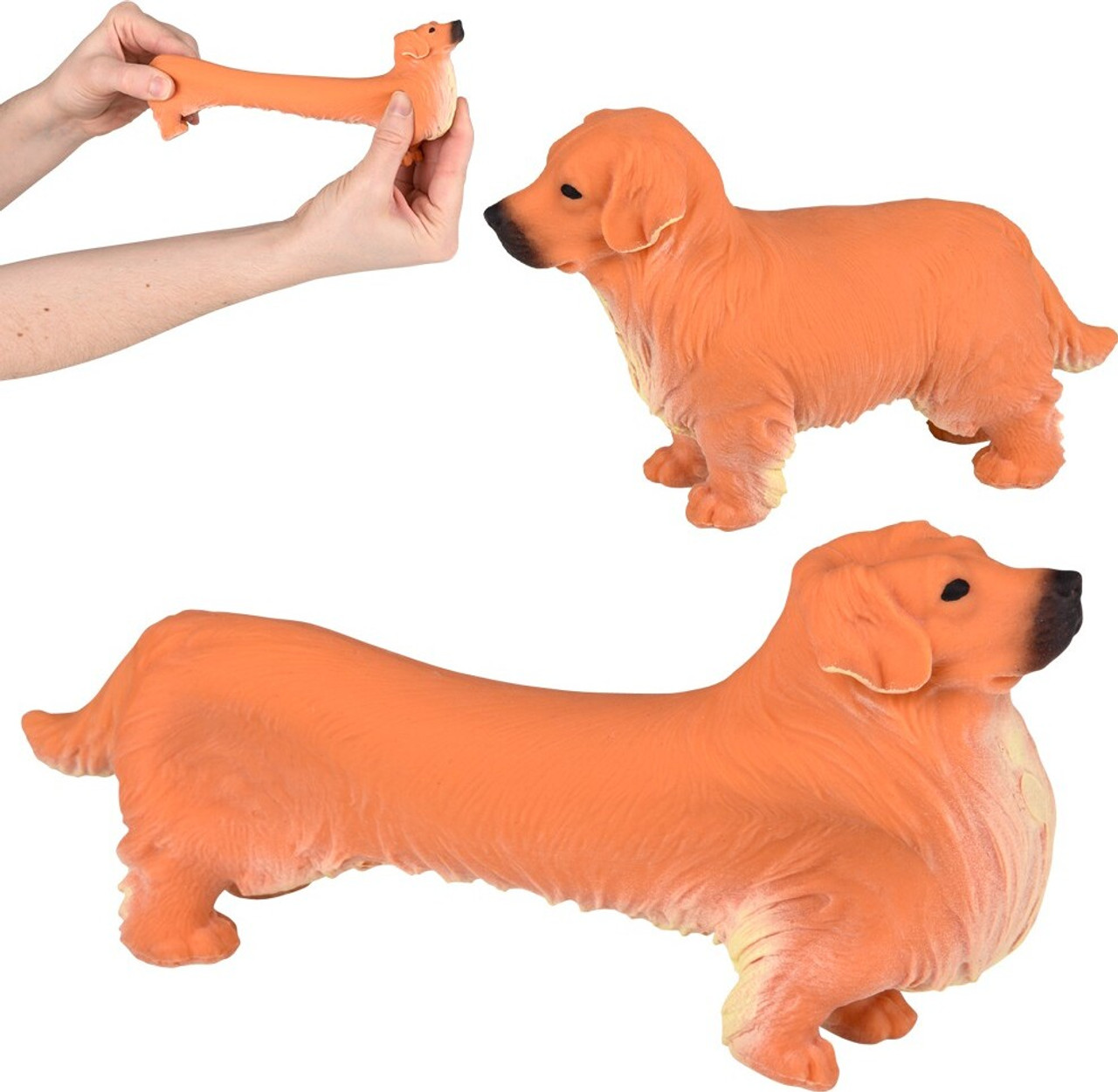 Stretchy Golden Retriever 5.25\" (assorted) 1