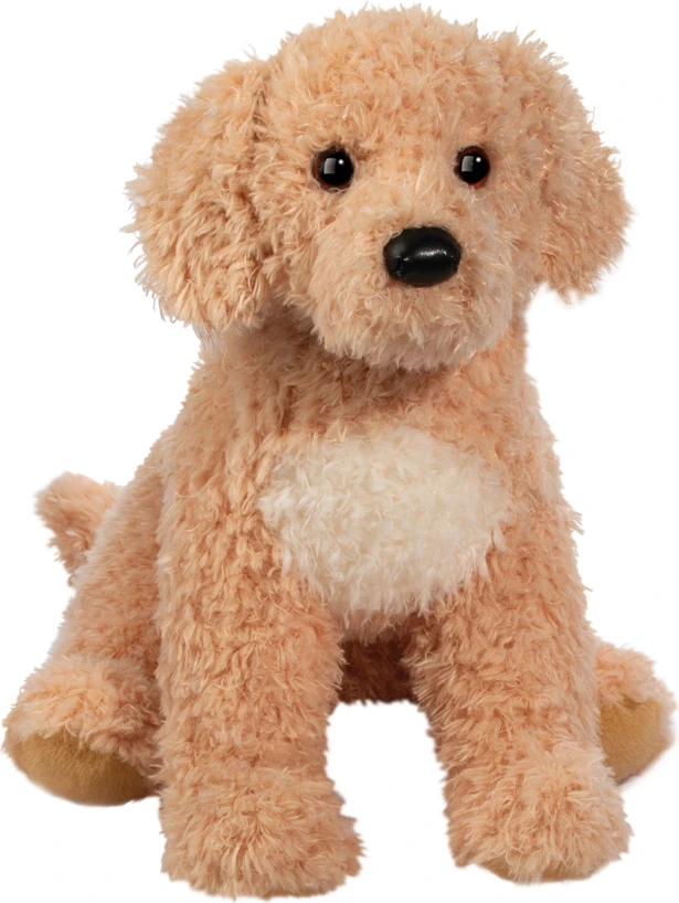 Noodle Goldendoodle 1