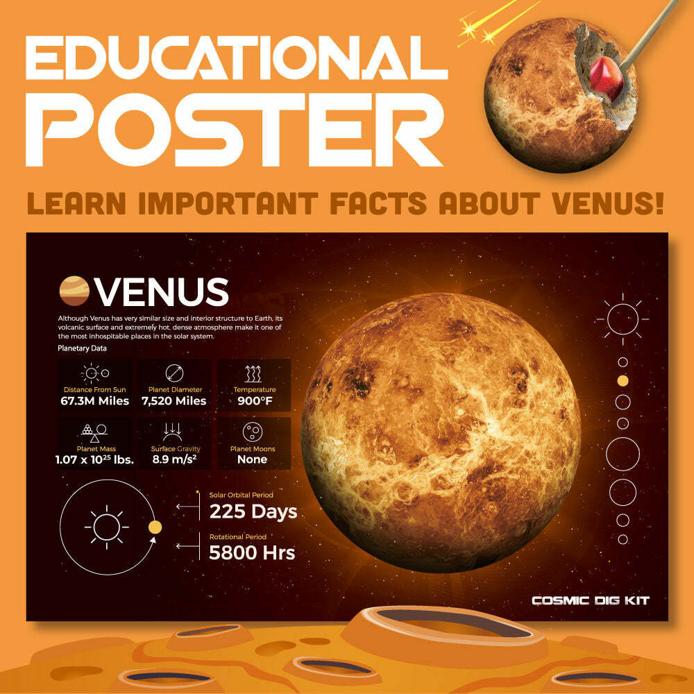 Cosmic Dig Kit - Venus 3