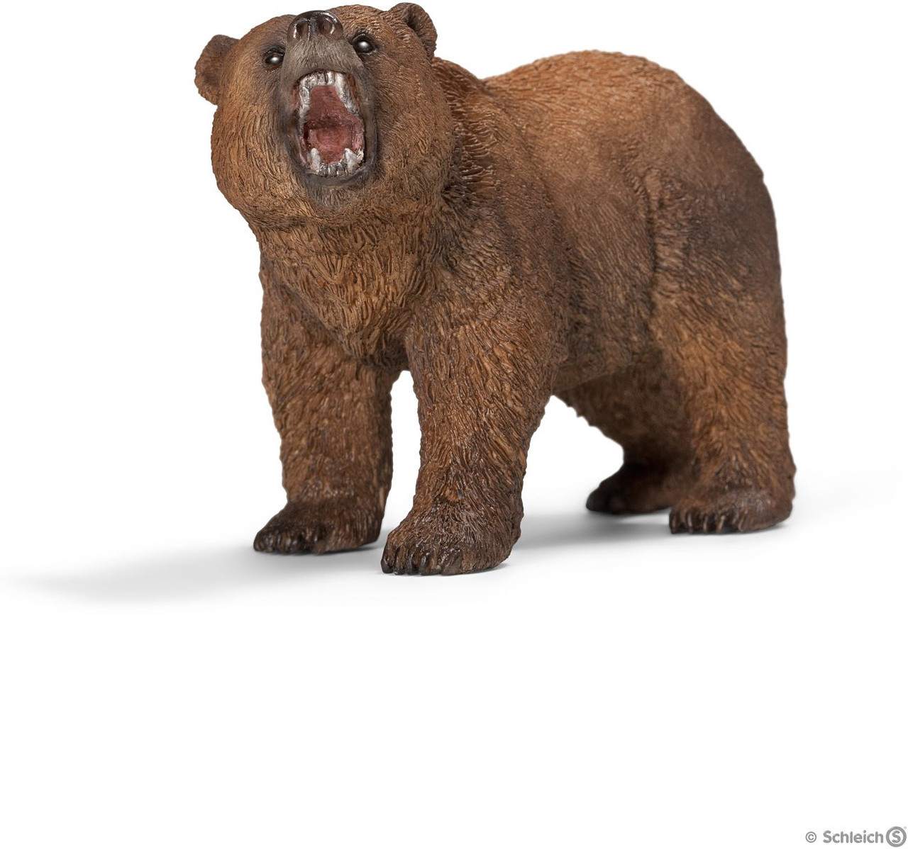Grizzly Bear 1